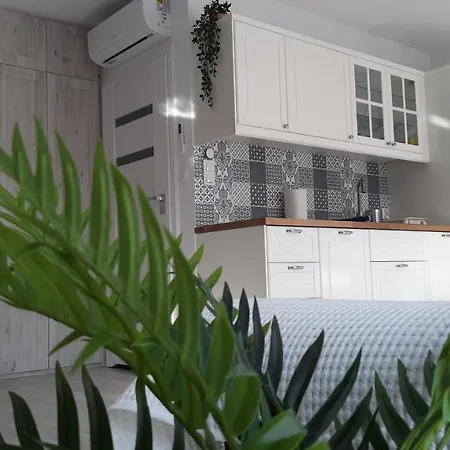 Biala Foczka Apartment Stegna (Pomerania)